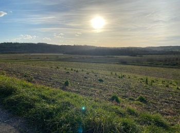 Trail Walking Hastingues - Long de la Bidouze - Photo