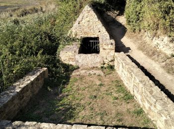 Excursión Senderismo Saint-Armel - 56-St-Colombier-Ludré-Duer-10km - Photo