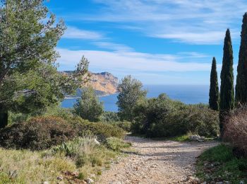 Randonnée Marche Cassis - cassis, en vau calanque et belvédère ,la fontasse - Photo