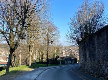 Trail Walking Provins - Remparts de Provins - Photo