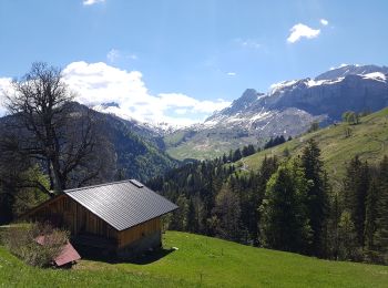 Randonnée Marche Sallanches - bellissime - Photo