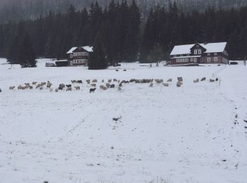 Excursión A pie Pec pod Sněžkou - [Č] Okruh Zeleným a Modrým dolem - Photo