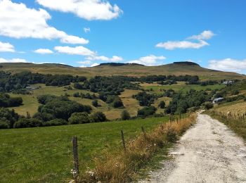 Excursión Senderismo Anzat-le-Luguet - signal du luguet à partir du luguet  - Photo