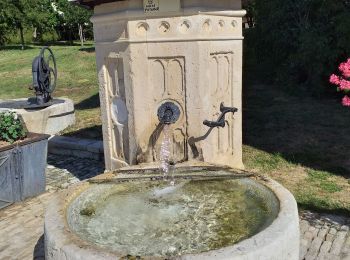 Randonnée Marche Dammartin-les-Templiers - dammartin les templiers - Photo