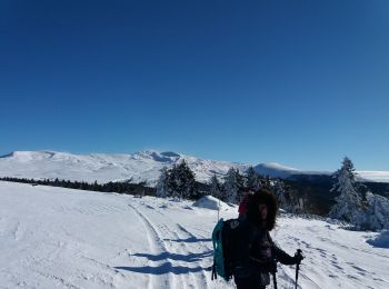 Tocht Sneeuwschoenen La Tour-d'Auvergne - Chastreix11-01-24 - Photo