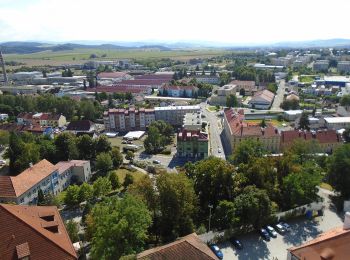 Percorso A piedi Klatovy - Klatovský vycházkový okruh - Photo