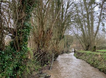 Randonnée 4x4 Lisores - Sortie land61 1/3/20 - Photo