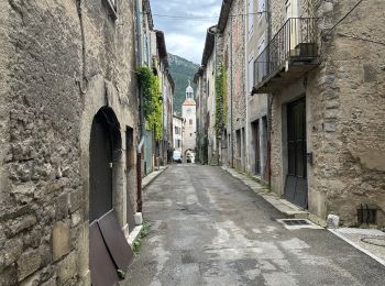 Tocht sport Châtillon-en-Diois - Châtillon en Diois col de Caux  - Photo