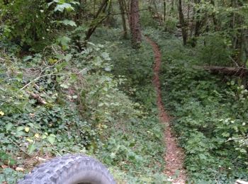 Randonnée V.T.T. Bar-sur-Aube - sur les hauteurs de Bar sur Aube , Arrentiere - Photo