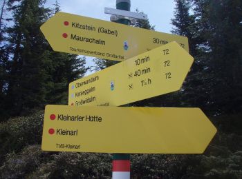 Tour Zu Fuß Großarl - Wanderweg 67c - Photo