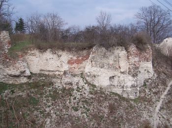 Tocht Te voet Lipsko - Solec nad Wisłą - Photo