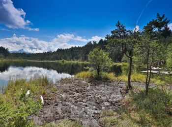 Randonnée A pied Seeboden am Millstätter See - 23: Samkt Wolfgang - Egelsee - Photo