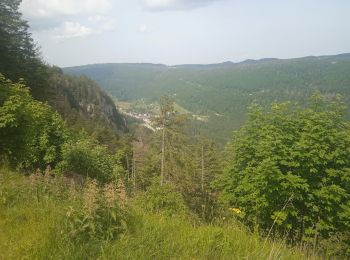 Excursión Bici de carretera Les Rousses - col de la faucille, Divonne les bains. - Photo