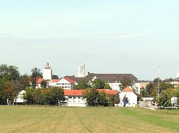 Tour Zu Fuß Röhrmoos - MVV Wanderweg Raute - Photo