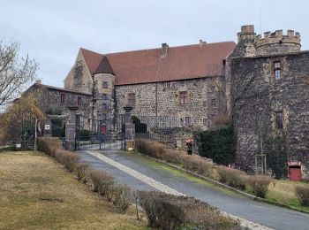 Tour Wandern Saint-Amant-Tallende - St Amant  Tallende Puy Peyronère - Photo