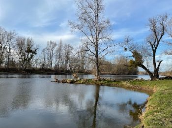 Percorso Marcia Vougy - Vougy : Pouilly-sous-Charlieu et rives de Loire  - Photo