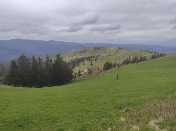Trail Walking Sondernach - Landersen boucle - Photo