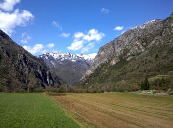 Percorso A piedi Tremosine sul Garda - Polsone, Malga Ciapa - Photo