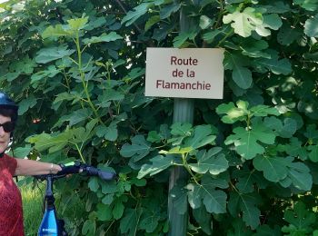 Tocht Fietstoerisme Bassignac-le-Bas - Beaulieu sur Dordogne-Argentat - Photo