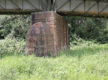 Percorso A piedi Faulbach - Ortswanderweg Hasselberg 5 - Photo