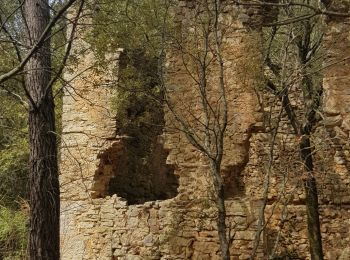 Tocht Stappen Seillans - La Pigne - Photo