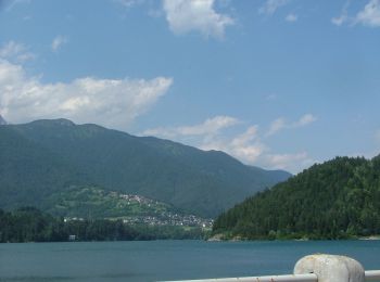 Trail On foot Pieve di Cadore - IT-355 - Photo