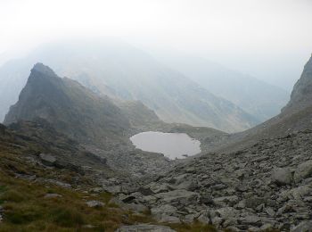 Tocht Te voet Onbekend - L. Capra - Refugiul Bâlea - Tunel - Refugiul Călțun - Photo