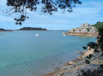 Trail Walking Paimpol - Lézardrieux Plage de Lodano - GR34 Allée couverte de Mélus PM - 15km 220m 3h45 - 2024 06 28 - Photo