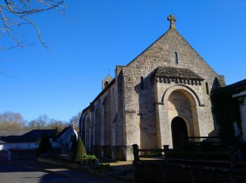 Tocht Stappen Pont-de-Ruan - Pont-de-Ruan - Saché - 9.2km 90m 1h50 - 2019 03 31 - Photo