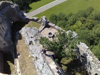 Tour Zu Fuß Holderbank (SO) - Bereten Linde - fixme - Photo