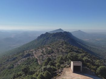 Randonnée V.T.T. Alía - Alia-la calera por la palomera-Alia - Photo