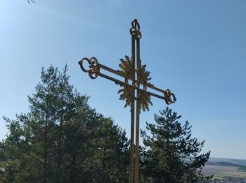 Randonnée Marche Orges - circuit du muguet  - Photo