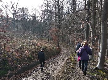 Excursión Senderismo Jemeppe-sur-Sambre - ELVOVAL--HAM S S- 12 kms  -octobre 2022. - Photo