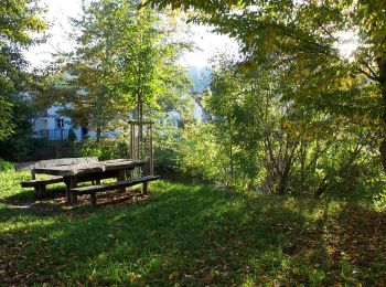 Tour Zu Fuß Embrach - Embrach Oberdorf - Oberembrach - Photo