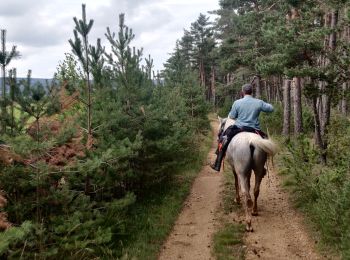 Tour Reiten Cubières - 2022-09-23 Rando CVA Lozere Chalet Mont Lozere vers Laubert - Photo