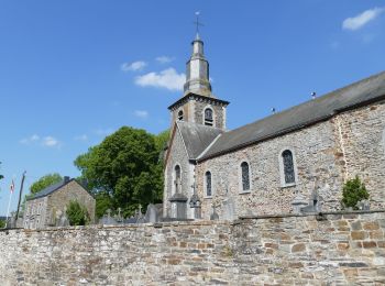 Tour Wandern Tenneville - Paysages & Patrimoine - A travers champs - Photo