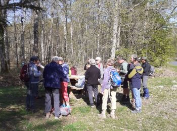 Randonnée Marche Seichebrières - forêt d'Orléans  - Photo