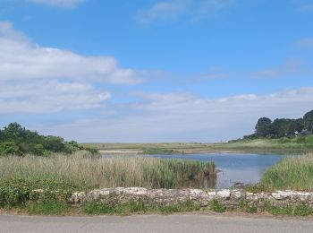 Excursión Senderismo Saint-Gildas-de-Rhuys - PR_56_St-Gildas-Rhuys_BA_02_Circuit1b_Les-Etangs_20240602 - Photo