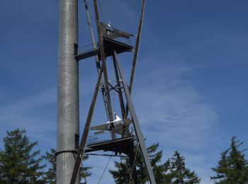 Tocht Stappen Gedinne - RB-Na-30-La Croix-Scaille - Photo