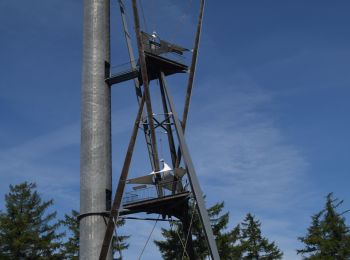 Randonnée Marche Gedinne - RB-Na-30_Croix-Scaille - Photo