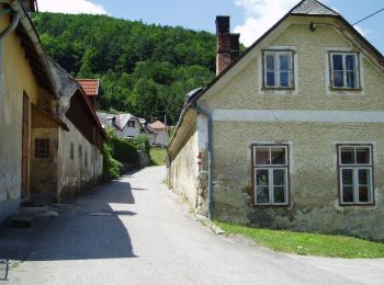 Trail On foot Gemeinde Alland - Allander Wanderweg 11 - Photo