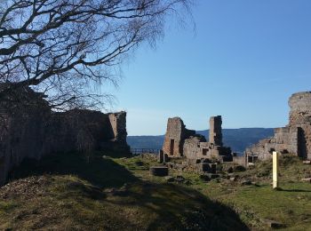 Tour Reiten Wanzel - 2021-03-28 Picnic CVA La Vancelle - Photo