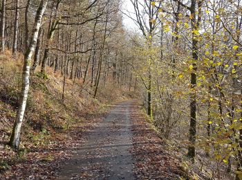 Percorso Equitazione Viroinval - Olloy Oignies Regniessart - Photo