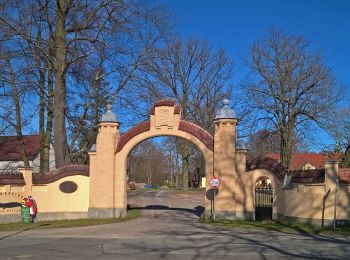 Tour Zu Fuß Mücka - Grüner Strich - Rundweg 12 km - Photo