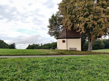 Percorso A piedi Bessenbach - Kulturweg Bessenbach 1 - Photo