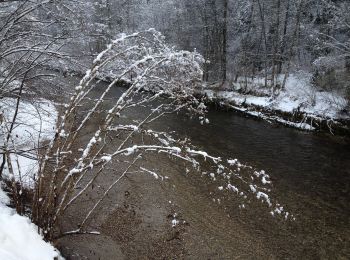 Randonnée A pied Langnau im Emmental - Langnau i.E. - Hohwacht - Photo
