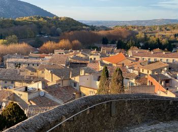 Tour Wandern Malaucène - Malaucène  - Photo