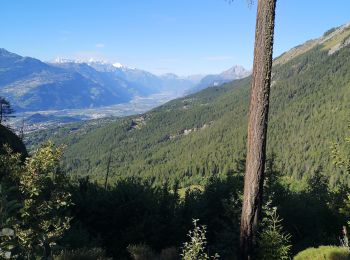 Tour Wandern Ayent - go  - Photo