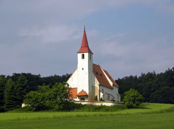 Tour Zu Fuß Lanzenkirchen - LA3 Lanzenkirchen - Ofenbacherweg - Rosalia (Lanzenkirchen - Rosalia) - Photo