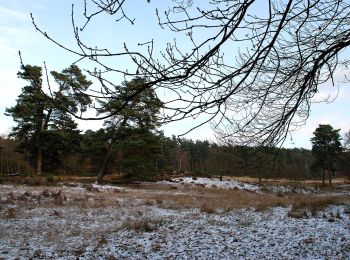 Trail On foot Troisdorf - Fliegenberg-Tour - Photo